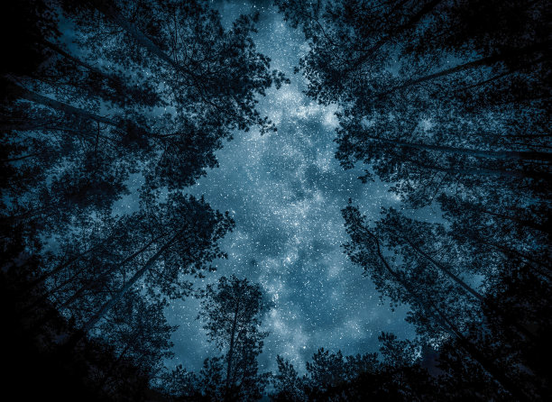 在森林的背景下看星星和银河。夜晚的星空笼罩着森林。这张图片的元素由美国宇航局提供。图片下载