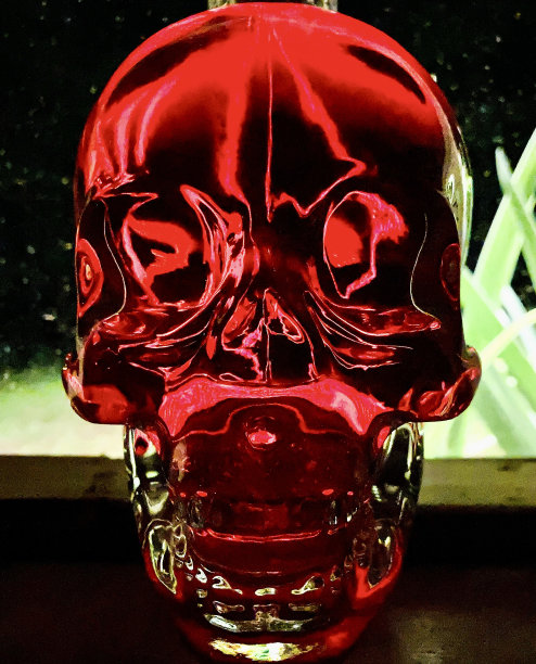 充满红色液体的玻璃头骨。图片下载