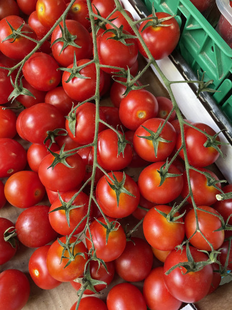 新鲜农产品超市货架单元的特写图像，葡萄藤上装有圣女果的纸板箱，高架视图图片下载