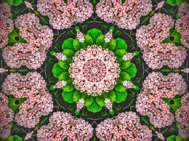 抽象万花筒花卉图案图片下载