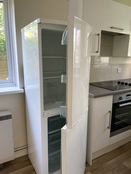 冰箱冰柜的特写图片，敞开的门在空的出租物业厨房晚餐，木兰漆的墙壁，木效果乙烯地板，烤箱，白色橱柜照明图片下载