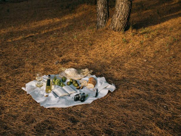 在撒丁岛的松林里，双人地中海野餐的横向照片。葡萄酒、面包和水果、帽子、书和老式相机。图片下载