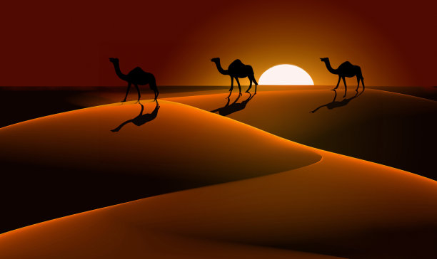 沙漠中的日落，骆驼的剪影图片下载