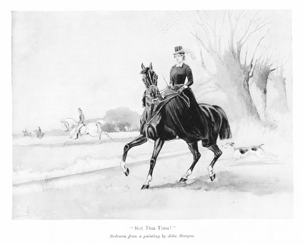 《女人骑马》，约翰·斯特吉斯，艺术史图片下载