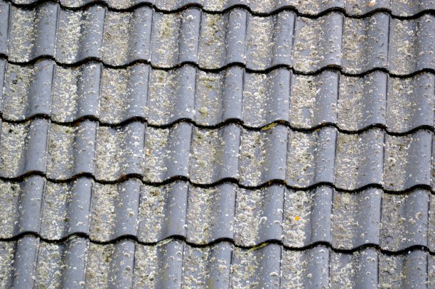 绿藻瓦屋顶图片下载