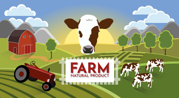 牛在现场。夏日的田园风光与奶牛和农场，黎明的山丘上，带着tematic的标签。图片下载