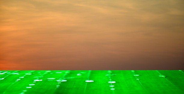 日出时沼泽地中的绿色香蕉叶柜台，可用作演示文稿和广告的展示台图片下载