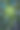 熟透的一串绿葡萄的特写图片图片下载