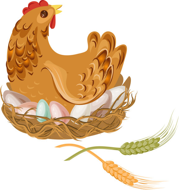 农场里褐色的鸡或母鸡呆在蛋上图片下载