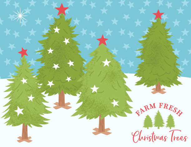 农场新鲜圣诞树地段图片下载