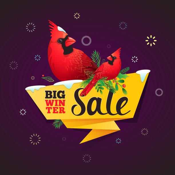 印有冬季鸟类的冬季促销横幅图片下载