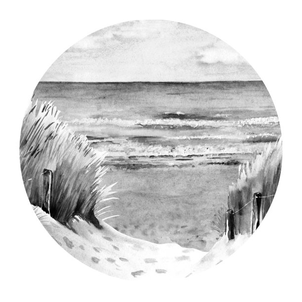 波罗的海沙滩和沙丘。黑白奥斯特全景。手绘水彩插图。用于卡片、海报、印刷品设计。图片下载