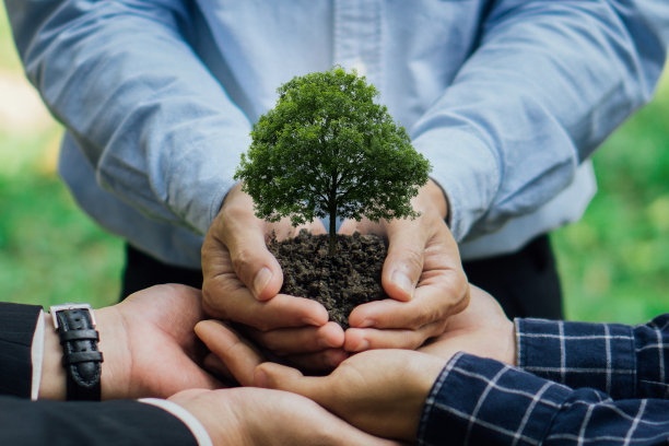 一群商人双手扶着树。关爱、节约和能源是可再生的，环境是可持续的。环境地球日概念。图片下载