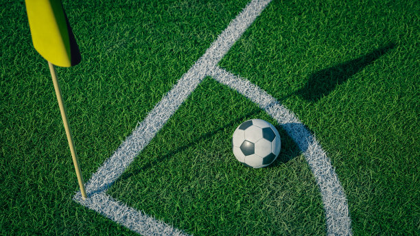 足球(足球)在草地上的特写背景，3d渲染图片下载