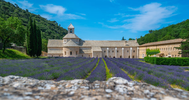 普罗旺斯塞南克修道院，薰衣草田，塞南克圣母院图片下载