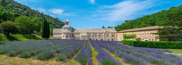 普罗旺斯塞南克修道院，薰衣草田，塞南克圣母院图片下载