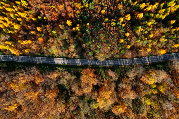 五彩秋林中蜿蜒山路的鸟瞰图图片下载