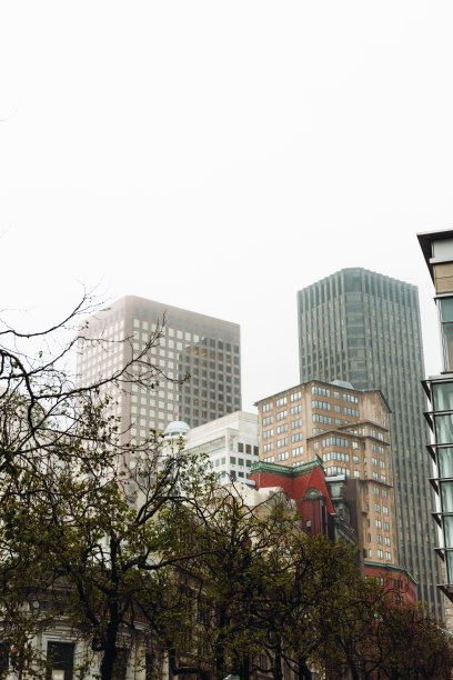 加州旧金山市区的低角度晨景图片下载