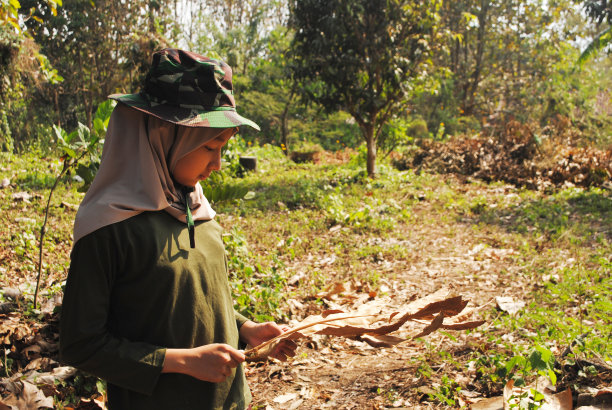 森林里的少女。树林里的冒险。人们在做活动。图片下载