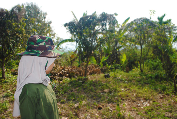 森林里的少女。树林里的冒险。人们在做活动。图片下载