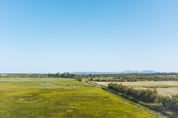风景优美的绿色稻田和湿地的鞋子在海岸布拉瓦，赫罗纳，加泰罗尼亚与海和岛屿的背景图片下载