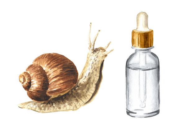 巨型蜗牛。蜗牛黏液集。手绘水彩插图孤立的白色背景图片下载