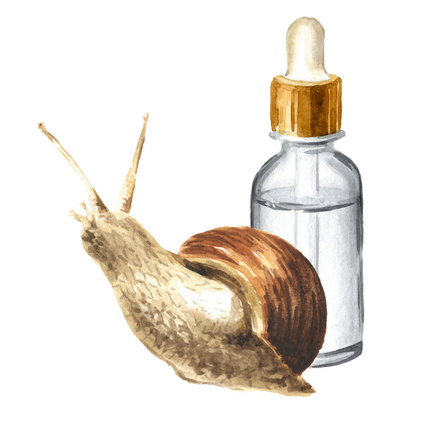 巨型蜗牛。蜗牛黏液。手绘水彩插图孤立的白色背景图片下载