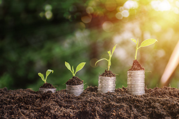 在一堆硬币上生长的幼苗有一个自然的背景，模糊的绿色，省钱的想法和经济增长。图片下载