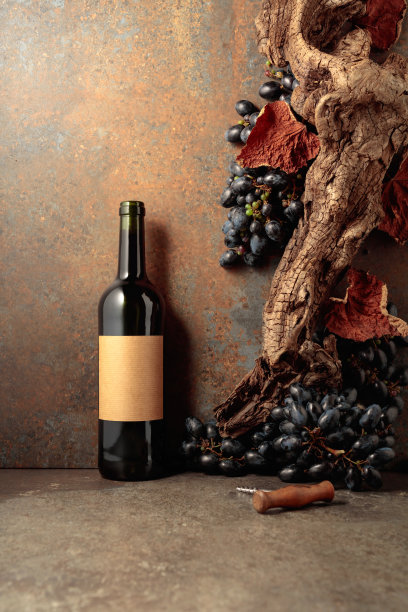 一瓶在生锈的背景上带有蓝色葡萄的红酒。图片下载