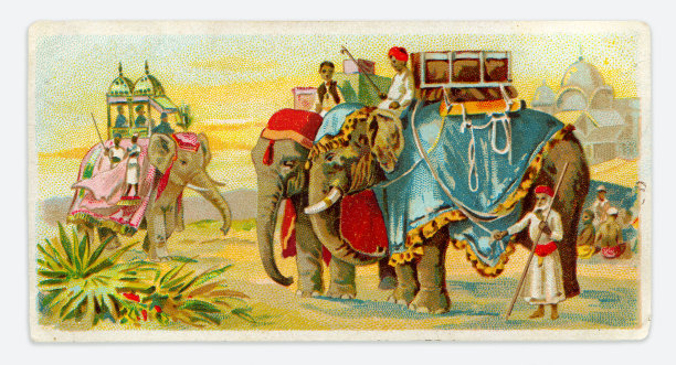 印度人骑着两头大象的新艺术插画图片下载