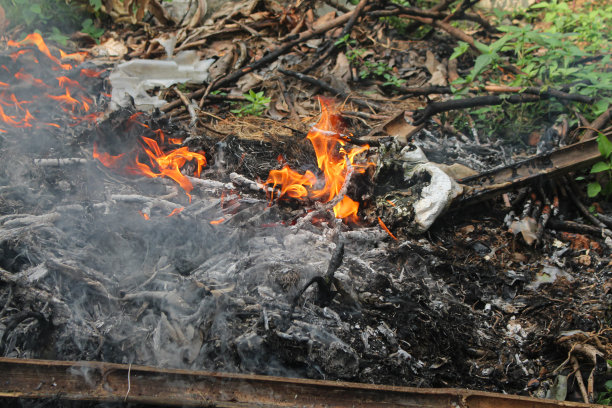 燃烧后的无机和有机废物图片下载