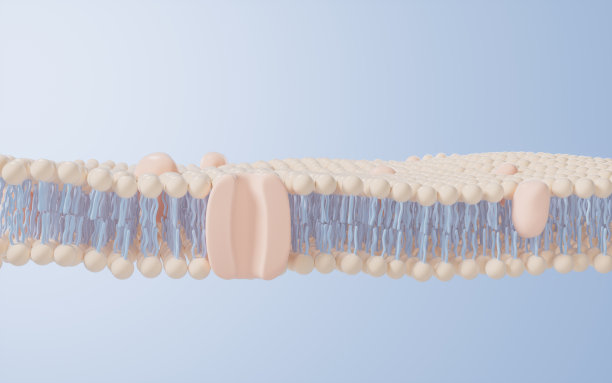 细胞膜结构背景，3d渲染。图片下载