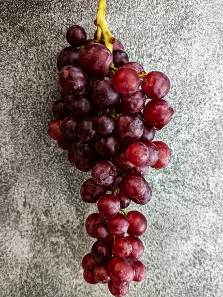 葡萄与灰色恶棍图片下载