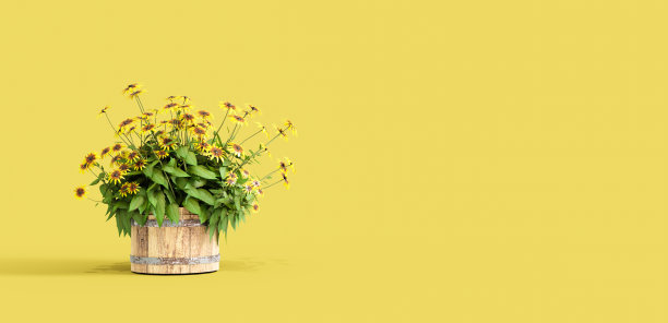 黄色的花在木篮子里图片下载