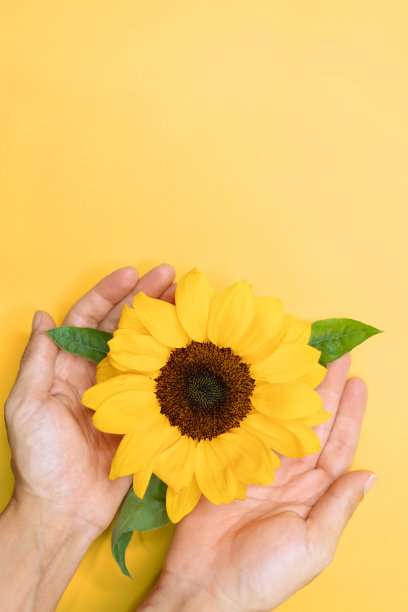 黄色九月:心理健康图片下载