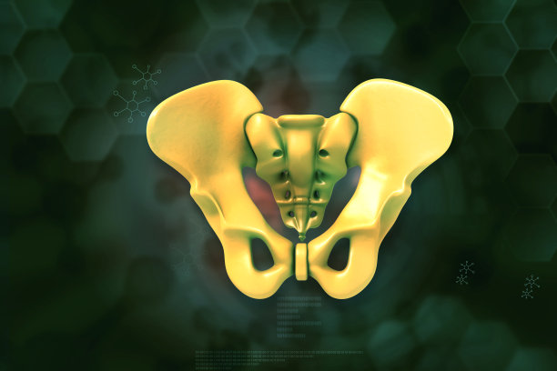 人类骨盆的科学背景图片下载