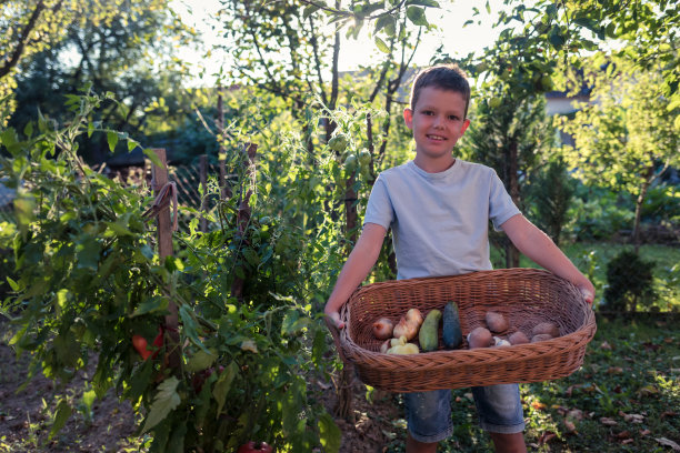 一个快乐的高加索男孩在他的农场提着一篮子蔬菜，看着镜头微笑的肖像，可持续的生活方式的概念。图片下载