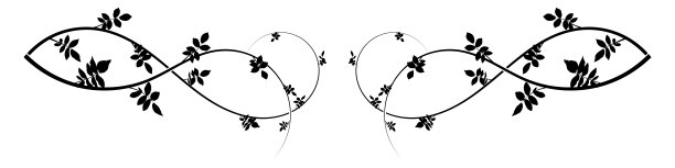 在纸上画出山楂装饰图案。矢量图图片下载