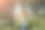 时髦的时髦女孩站在户外常春藤叶墙附近。为年轻女性拍摄时尚照片。金色短发，戴着酷酷的眼镜。图片下载