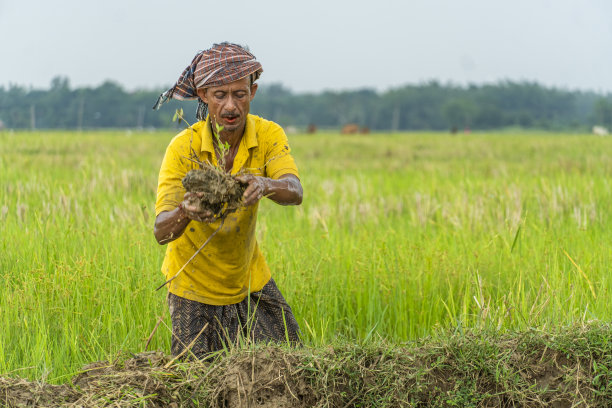 在犁地的农田里，一位农民正在处理泥土图片下载