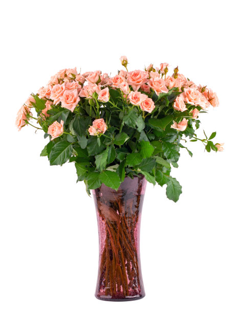 一束粉红色的小玫瑰，用手工纸包着图片下载