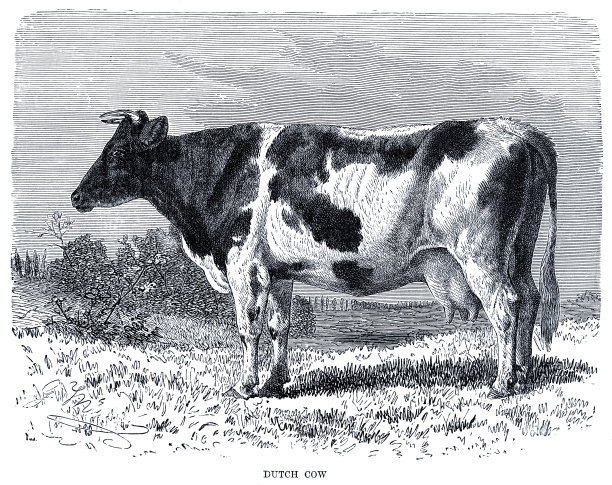 1896年荷兰雕刻图片下载