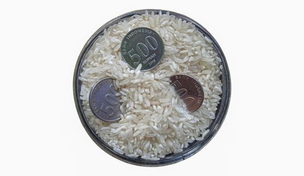 俯视图照片硬币内大米与白色背景图片下载