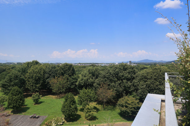 在一个阳光明媚的日子里，从公园的观景台俯瞰城市图片下载