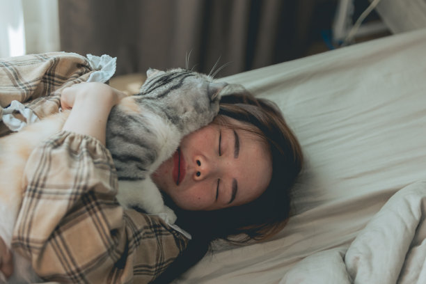 可爱的姜黄色猫躺在女人的手上。毛茸茸的宠物舒服地躺下来睡觉或玩耍。可爱舒适的背景与地方文字。早上在家就寝。图片下载