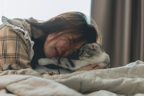 可爱的姜黄色猫躺在女人的手上。毛茸茸的宠物舒服地躺下来睡觉或玩耍。可爱舒适的背景与地方文字。早上在家就寝。图片下载