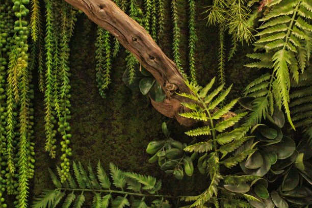 绿色墙面上有不同的落叶植物在室内装饰。自然树叶背景。生态友好型垂直花园。郁郁葱葱的树叶组成。有机装饰。家居丛林装饰概念。图片下载