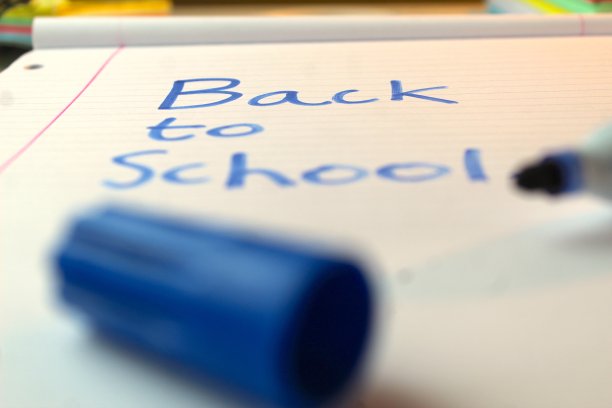 写在记事本上的《返校记》图片下载