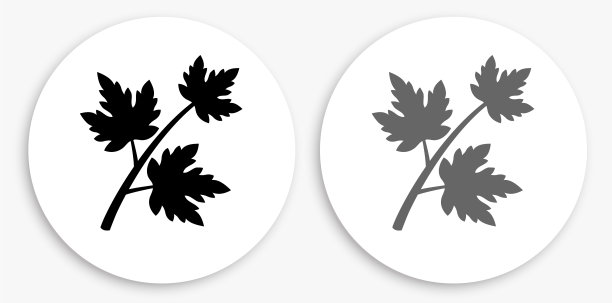 树枝和叶子黑色和白色圆形图标图片下载
