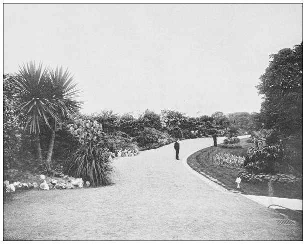 爱尔兰的古董照片:凤凰公园，都柏林图片下载